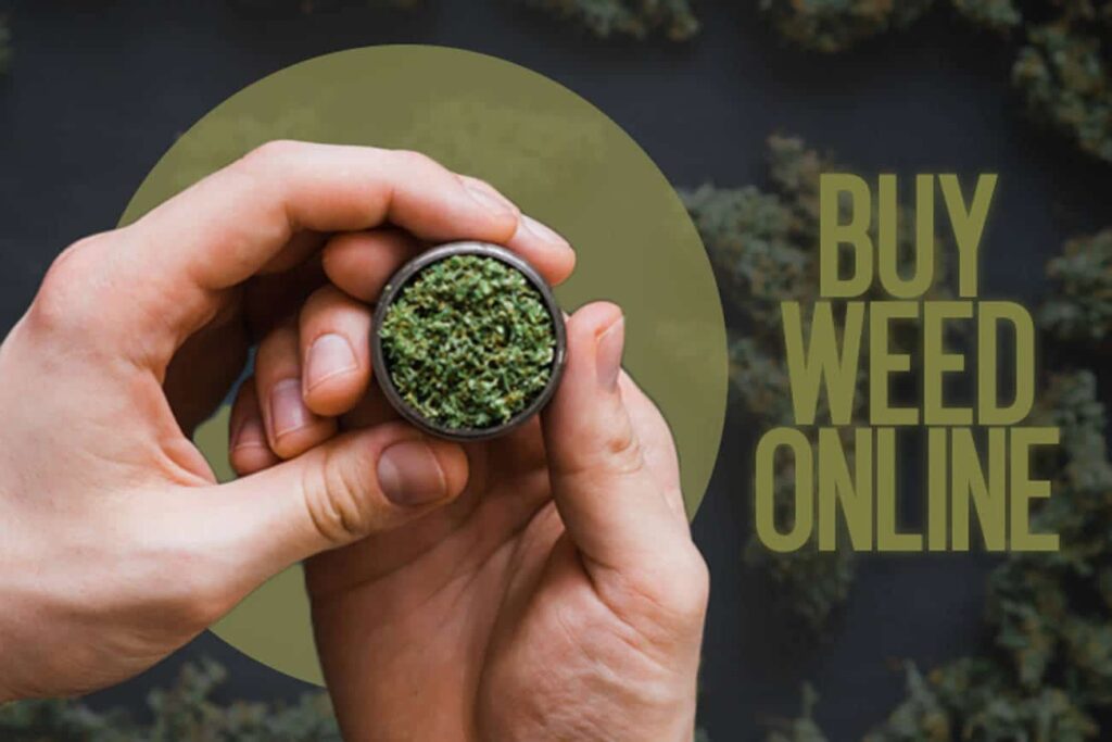 Weed Online Selections: A World Of Possibilities Await